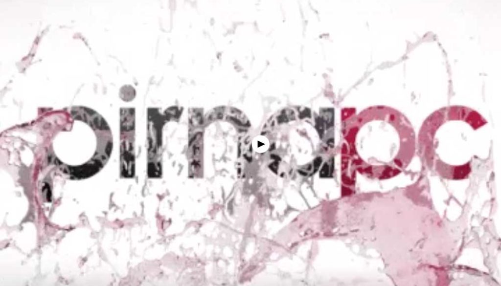 logoanimation